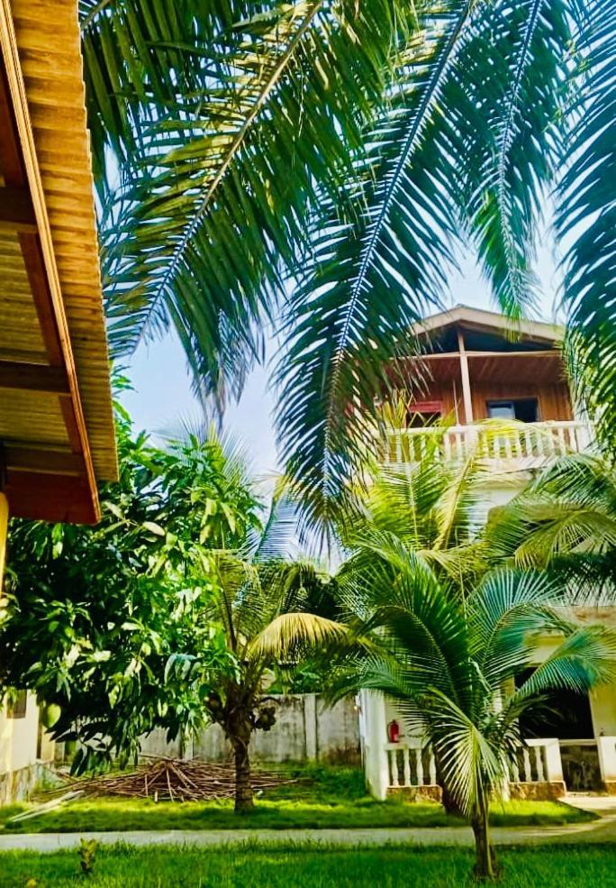 Serenity Haven Lodge Busua 외부 사진