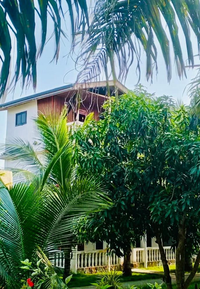 Serenity Haven Lodge Busua 외부 사진