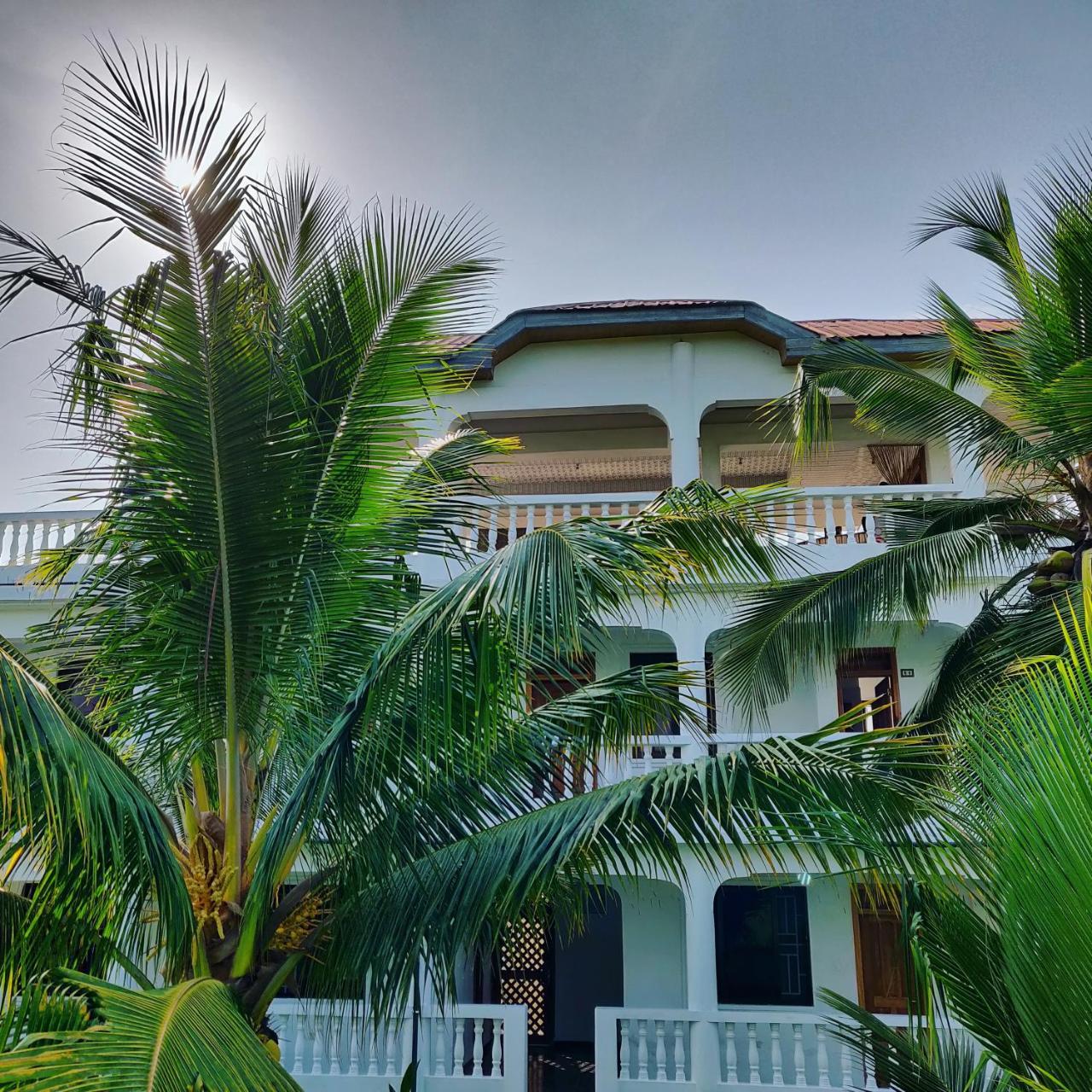 Serenity Haven Lodge Busua 외부 사진