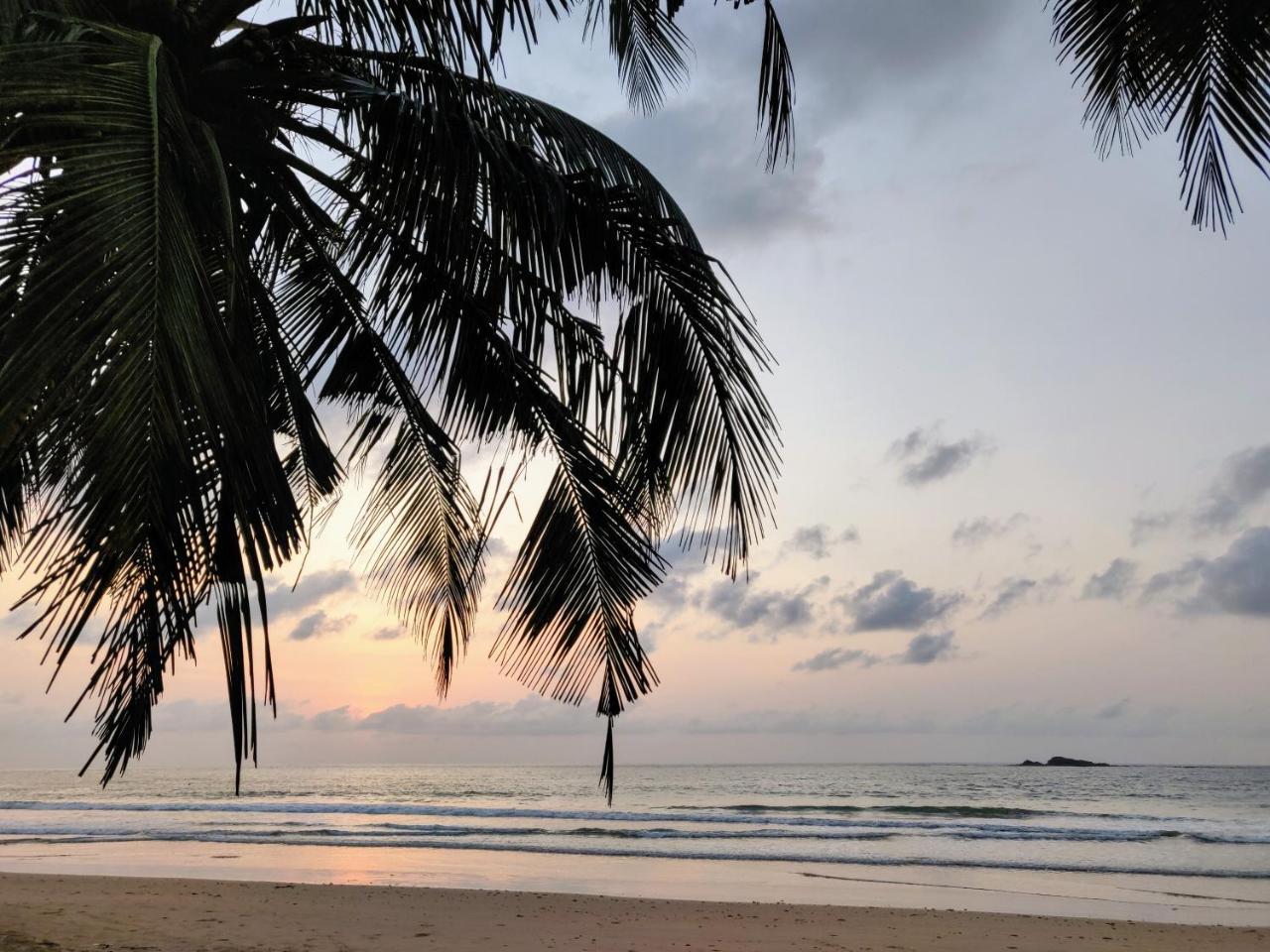 Serenity Haven Lodge Busua 외부 사진